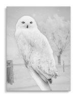 Tavla Canvas 50x70 Winter Owl