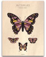 Poster 30x40 Barnmotiv Butterflies Vintage